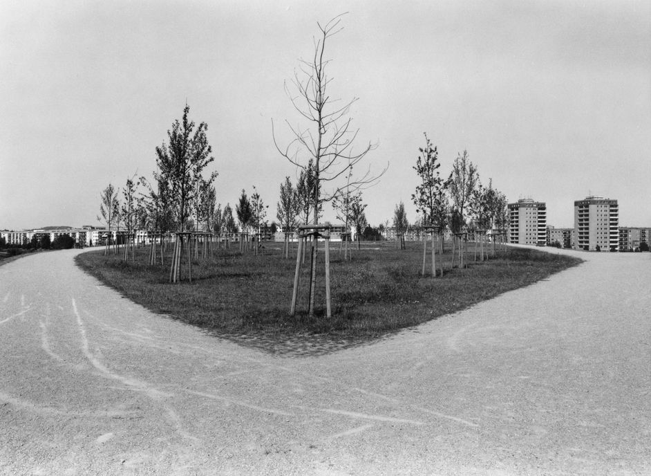 Schwarz-Weiß-Fotografie: Von einem Schotter-Weg umrahmter kleine Grünfläche mit Bäumen. Im Hintergrund sind Hellersdorfer Wohngebäude zu sehen.