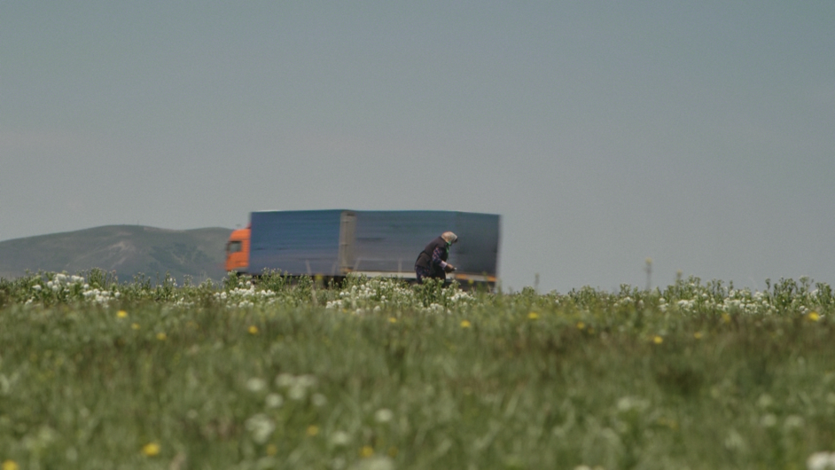 Film still: A person can be seen in a flower meadow in the foreground, a lorry and a section of mountain in the background.