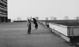 Sibylle Bergemann, Paris, 1979 Sibylle Bergemann, Paris, 1979